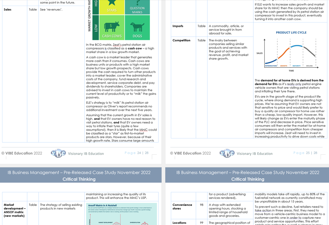 ib business management case study 2022 pdf